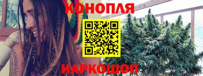 гидра Партизанск